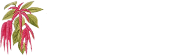 Амарант